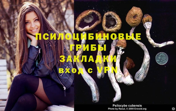 ECSTASY Алексеевка