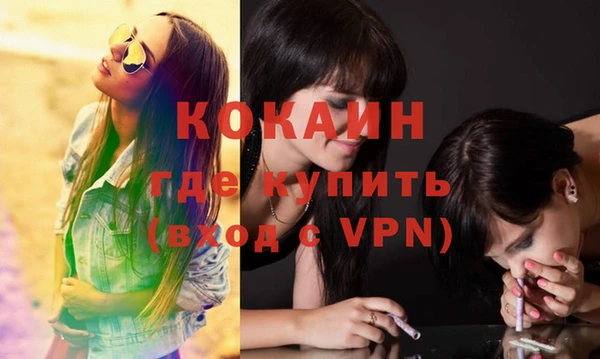 кокс Алзамай