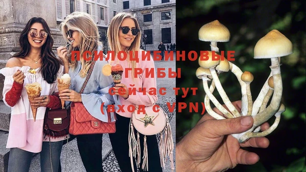 первитин Алексин